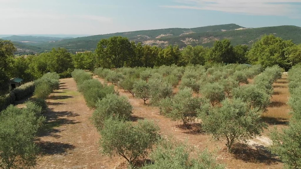 Gîtes en Haute Provence, vue arérienne